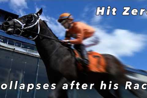 Hit Zero- The horse who collapsed and died after first race on Black- Eyed Susan Day Laurel Park 
