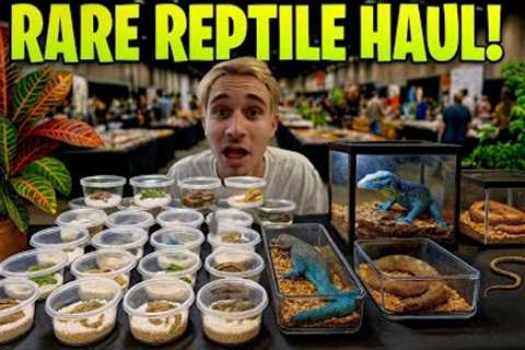 I Found a SECRET ROOM Full of RARE REPTILES!