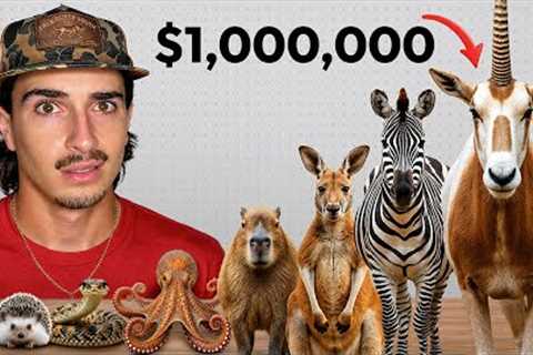 I Bought Every Exotic Animal Off the Dark Web…