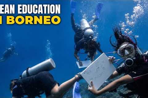 Marine Biology School Field Trip in Borneo | PADI Dive Training & Ocean Conservation
