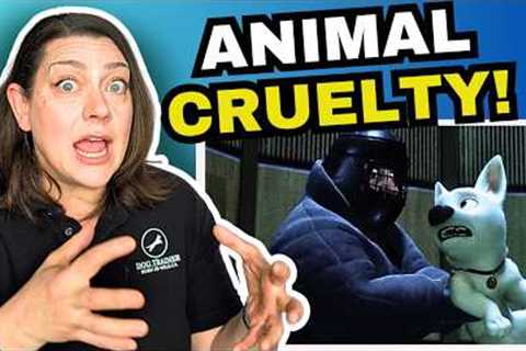 Dog Behaviorist Reacts: What Bolt gets right about dog behavior and issues in Hollywood