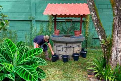 3 Must-See Ideas for Arranging Your Garden Plants!🪴