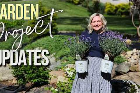 Finally Seeing Progress! Garden Paths, Planting & Greenhouse Update