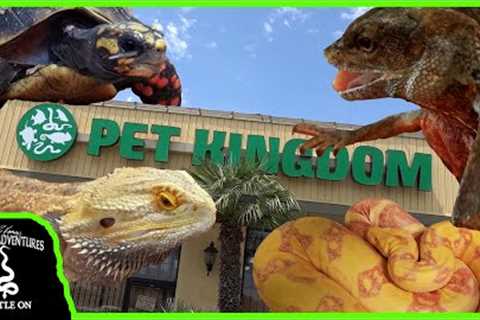TOURING THE BIGGEST REPTILE SHOP ON THE WEST COAST! (Pet Kingdom, San Diego)