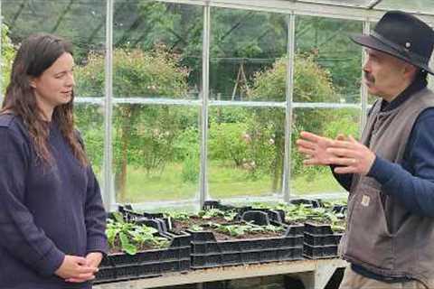 Gardeners' World 2026 Ep10 | Summer Containers, Biodynamic Gardening & Auriculas