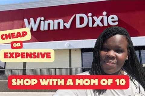 NEW Grocery Store Try-Out With MrsMommie 