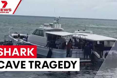 Fatal diving tragedy in Maldives Shark Cave | 7NEWS