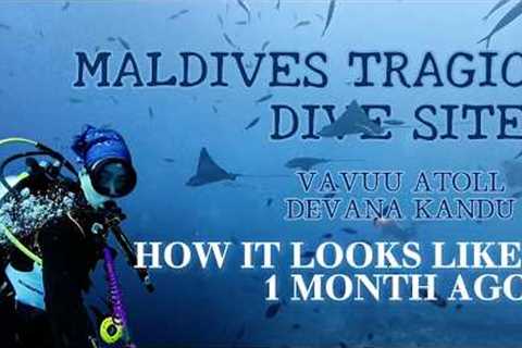 Diving the Tragic Maldives Site: Inside Devana Kandu (Vaavu Atoll) Underwater Footage & Safety..