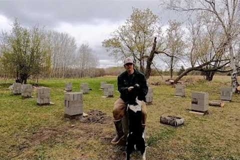 Building My Log Cabin Foundation | Putting Up Spring Firewood
