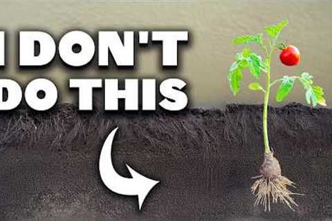 Unpopular Gardening Techniques I Do Anyways (And Why)