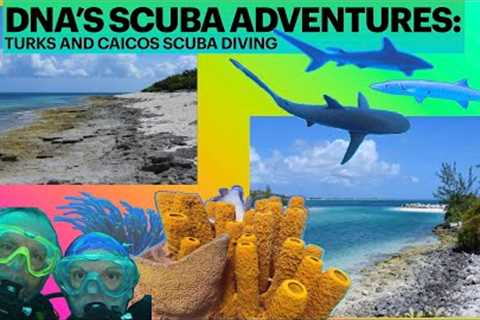 Turks and Caicos SCUBA diving with SHARKS Galore! Floating through a Coral Forest!!