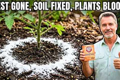 How to Use BAKING SODA in the Garden: 9 Powerful Tips for Healthy Plants &amp; Pest-Free Growth!