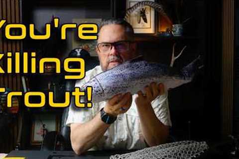 5 Things That Actually Kill Released Trout (Wet Hands Isn't One)