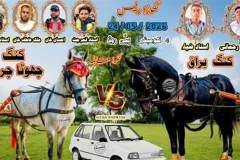 Buraq Vs Chota Charsi Horse Race || Tanga Race || #horse #horseriding #viral 