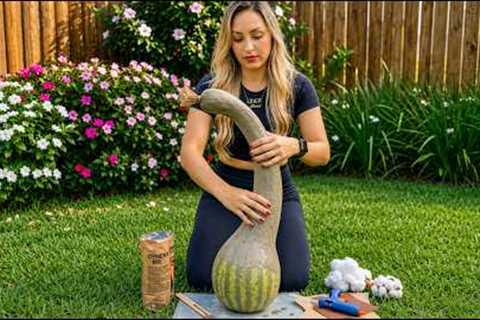 14 DIY Garden Ideas to Make Your Backyard Look Expensive