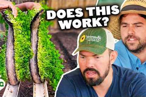 Pro Gardeners Expose The Truth Behind Viral Garden Hacks