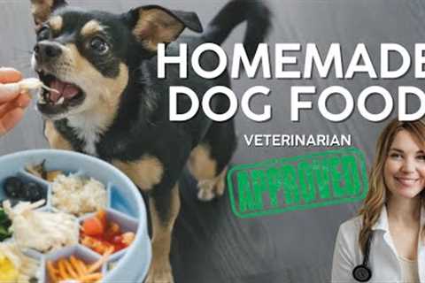 VET APPROVED Homemade Dog Food Recipe (Affordable & Healthy)