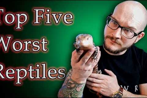 Top 5 BAD PET REPTILES For Kids | Get These Reptiles Instead