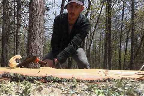 Log Cabin Build on Off-Grid Homestead | Save Money...Do It By Hand