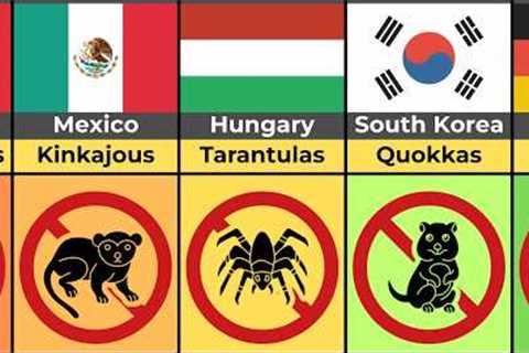 Illegal Exotic Pets (By Country)
