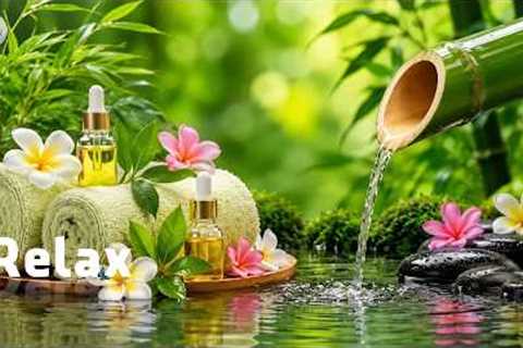 Soothing Bamboo Fountain Music 🌿 Heal Anxiety, Reduce Stress, Meditation &amp; Sleep