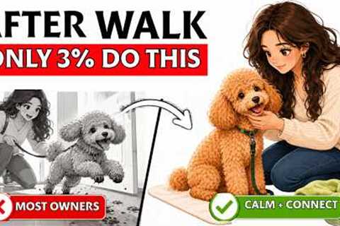 Only 3% of Dog Owners Do This After a Walk (It Changes Everything)