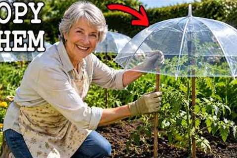 Grandma’s Best Gardening Hacks You’ll Wish You Knew Sooner (Perfect for May)