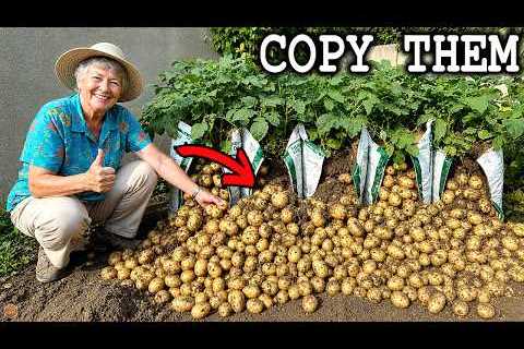 50 Easy Grandparents Vegetable Gardening Hacks You'll Wish You Knew Sooner