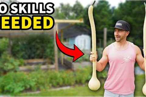 5 EASY Plants Make NEW GARDENERS Look Like Pros [Especially #5!]