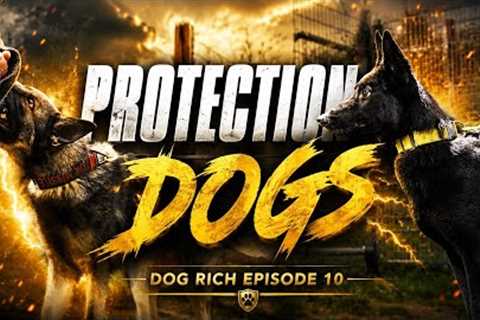 Protection Dog Training Day- Dog Rich Episode 10