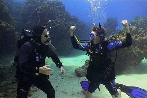 Jake Learns to Dive | JONATHAN BIRD'S BLUE WORLD