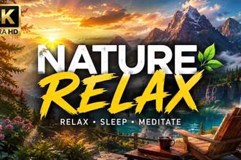 Relaxing instrumental music to reduce stress and promote restful sleep (Nature Relax).🌿
