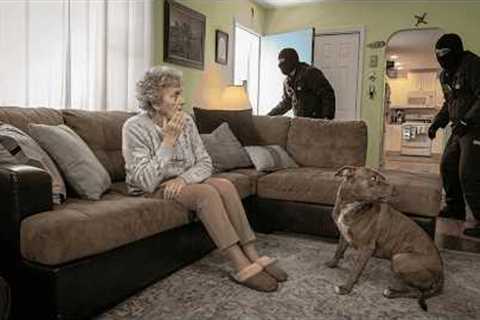 Dogs Tested to See Whether They’d Defend Owner During Home Invasion