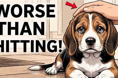 Dog Psychology | STOP Doing These 10 Things to Your Dog (They Secretly Hate It)