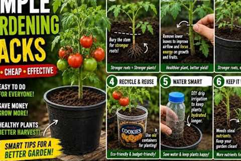 Simple Backyard Gardening Hacks Everyone Should Know 🌱🍅