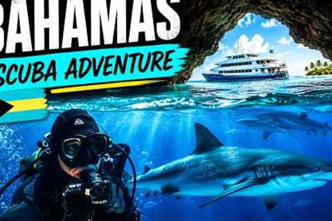 Week of Scuba Diving in Bahamas on a Liveaboard