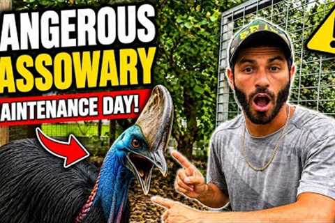 I Had To FACE The MOST DANGEROUS BIRD In The WORLD!