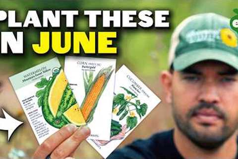 8 Crops You'd Be WILD Not To Plant in June!