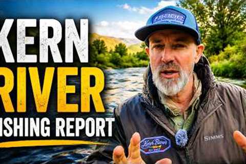 Don't Fish The Kern Until You Watch This Update - Conditions &amp; Top Trout Flies!