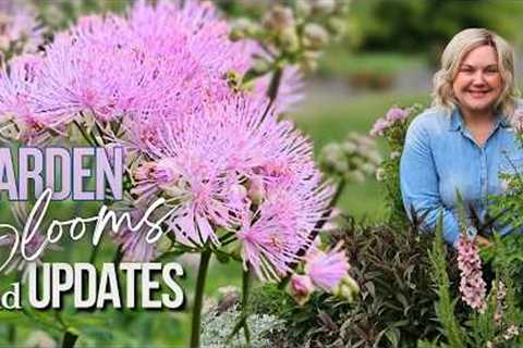 So Much Change in Just a Few Weeks! Garden Update