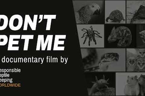 Don't Pet Me – what would you do if your pets were banned?