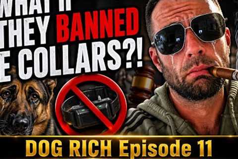 What if they BANNED E Collars?! Dog Rich Episode 11