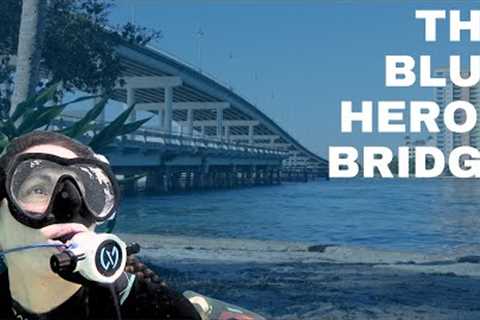 Diving the Blue Heron Bridge - A scuba diving road trip with Katie, The Drysuit Lady
