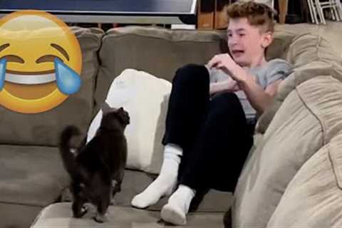 Cats Being JERKS! Savage Cats Attacking People Compilation || PETASTIC 🐾