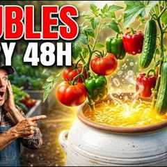 🔥This simple bucket trick makes plants grow like crazy!