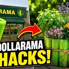 10 Genius Dollarama Garden Hacks That Actually Work! | Budget Gardening Canada 🇨🇦