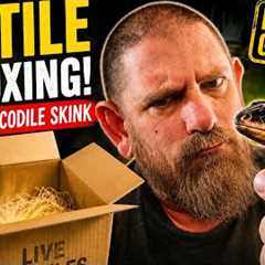 Reptile Unboxing! Red-Eyed Crocodile Skinks, Tarantulas & Rare Exotic Animals 🔥#unboxing..
