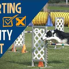 Dog Agility Training: 3 Big Mistakes All Dog Owners Should Avoid #114