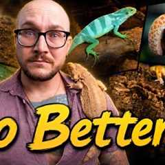 Your Reptile is Bored! 5 EASY Enrichment Ideas!