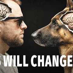 What Your Dog Actually Thinks About You (This Will Change How You Act)